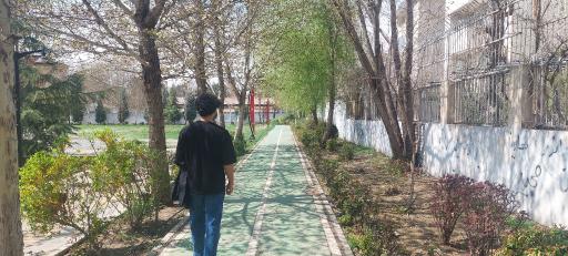 عکس پارک مکعب