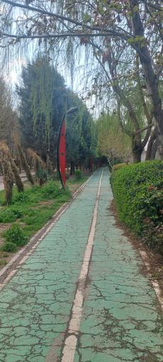 عکس پارک مکعب