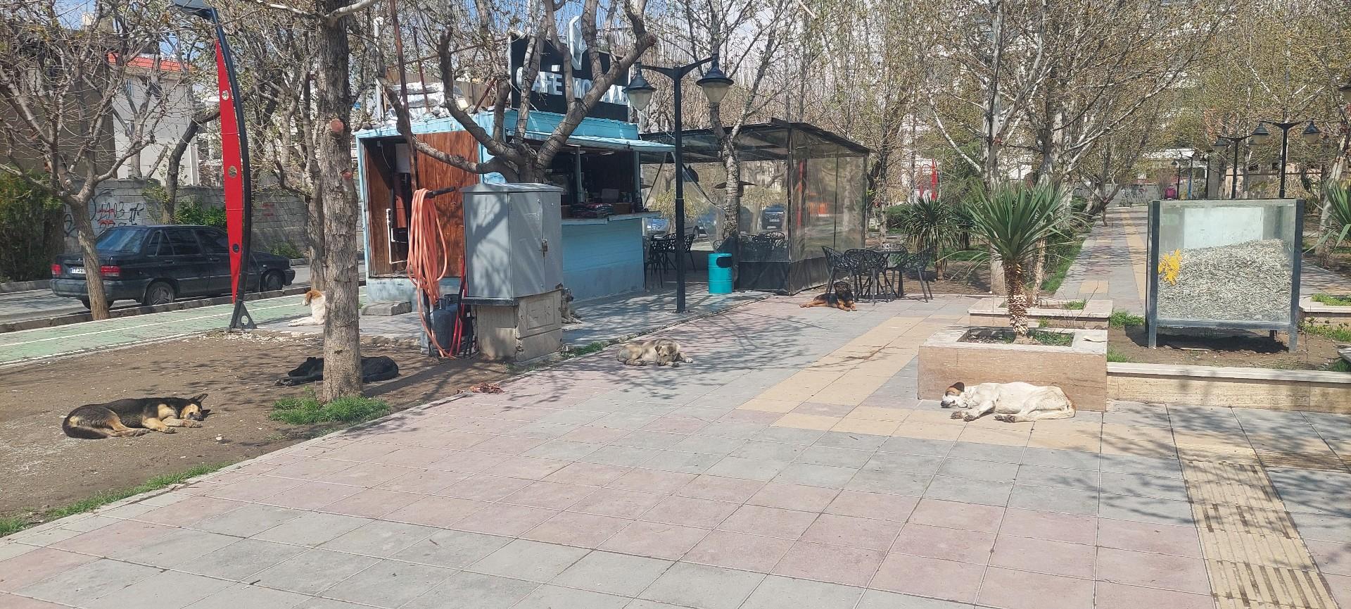 عکس پارک مکعب