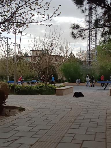 عکس پارک مکعب