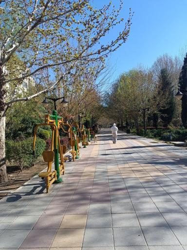 عکس پارک مکعب