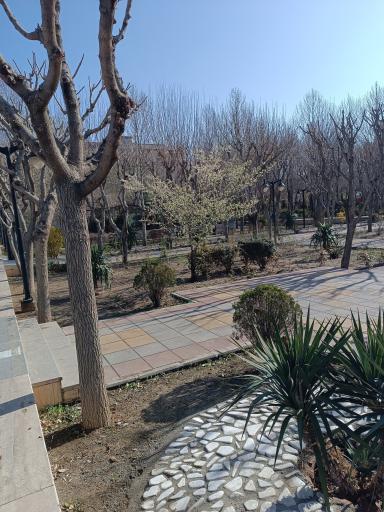 عکس پارک مکعب