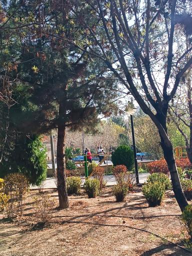 عکس پارک مکعب