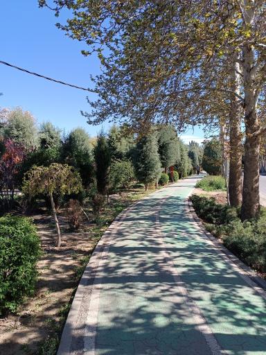 عکس پارک مکعب