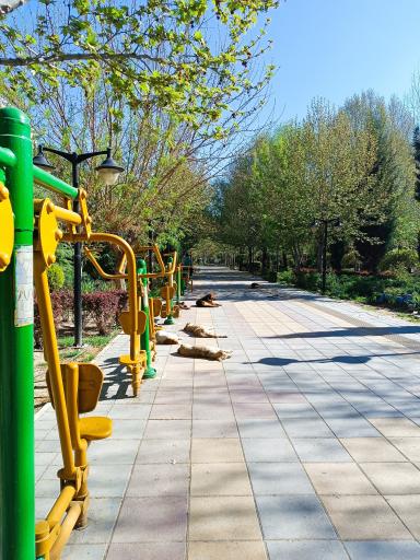 عکس پارک مکعب