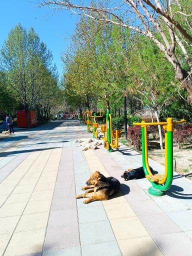 عکس پارک مکعب