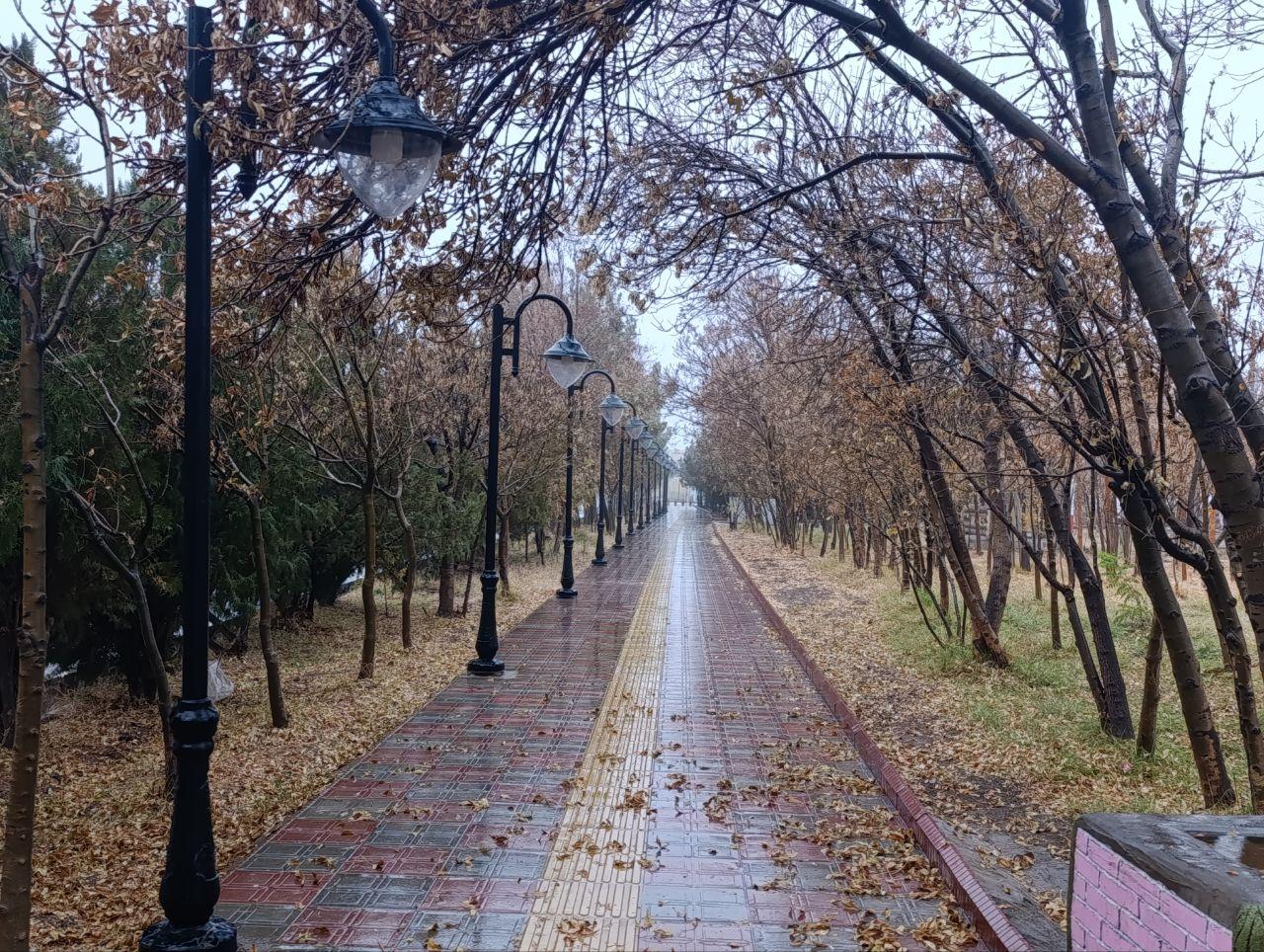 عکس پارگ نگلی ولی عصر(عج)