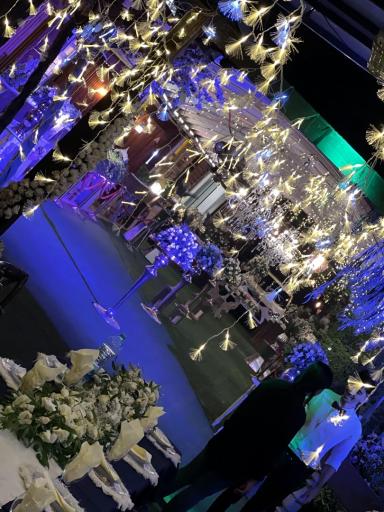 عکس باغ تالار دژاوو