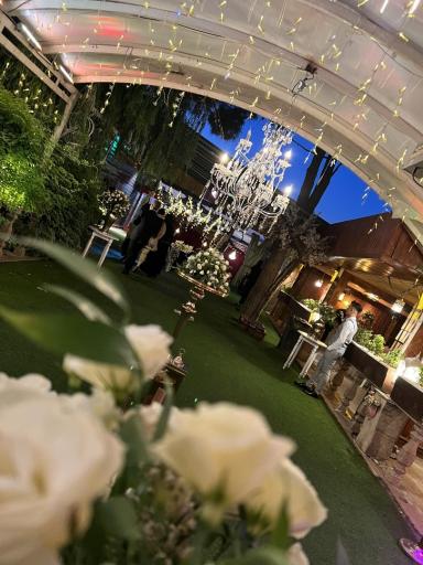 عکس باغ تالار دژاوو