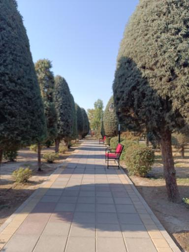 عکس پارک مکعب