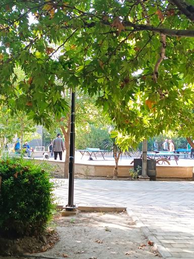عکس پارک مکعب