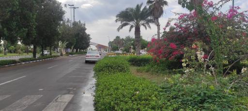 عکس سازمان بنادر و دریانوردی