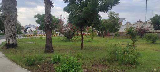 عکس سازمان بنادر و دریانوردی