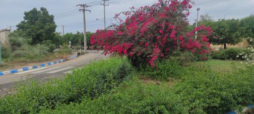 عکس سازمان بنادر و دریانوردی