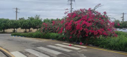 عکس سازمان بنادر و دریانوردی