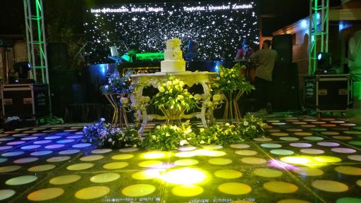 عکس باغ و تالار زندیه