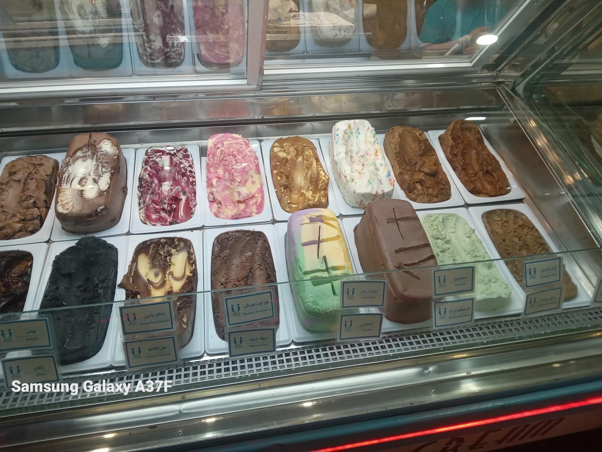 عکس بستنی شاد شعبه مرکزی