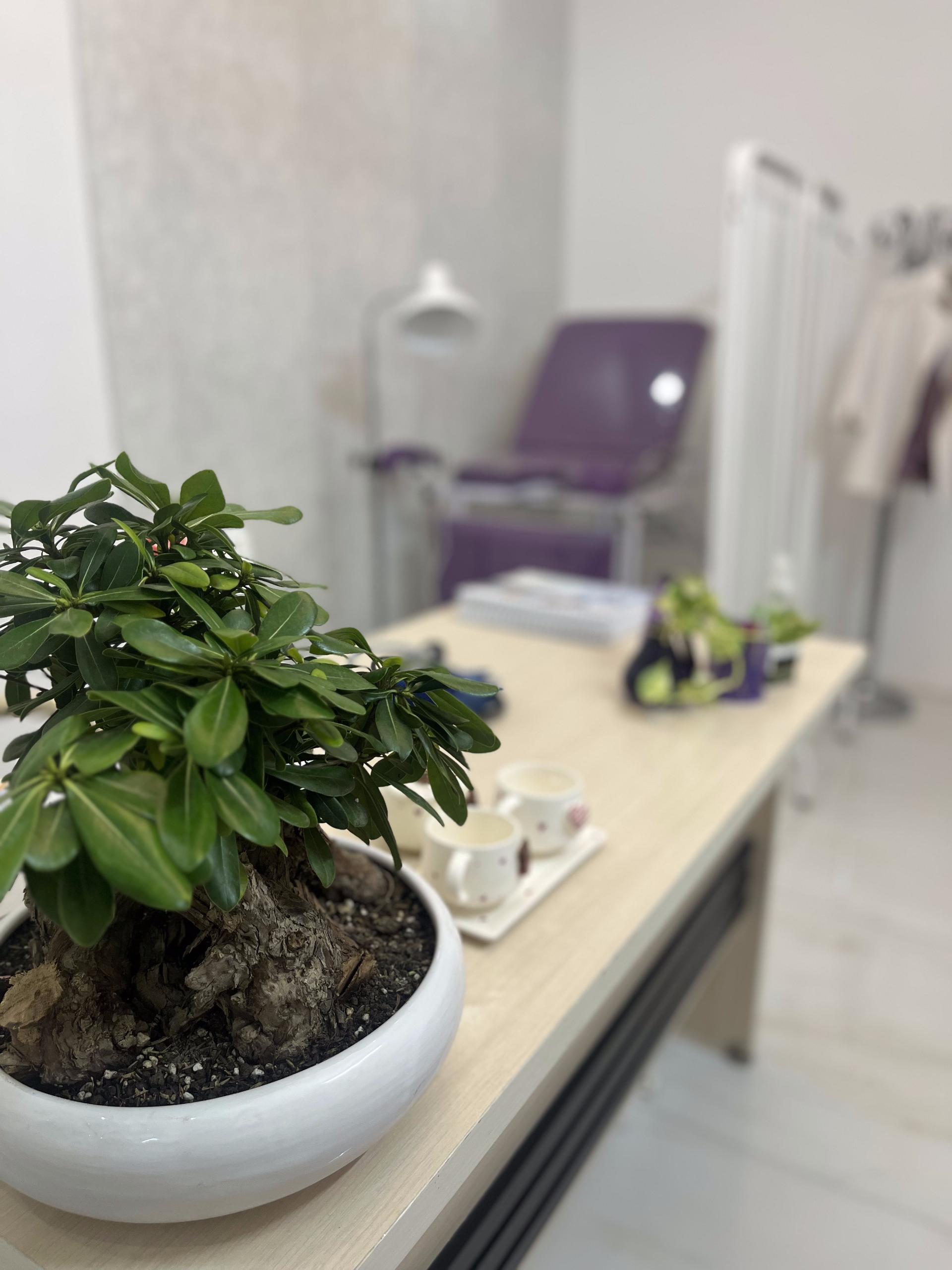 عکس مطب مامایی الهام فلکی