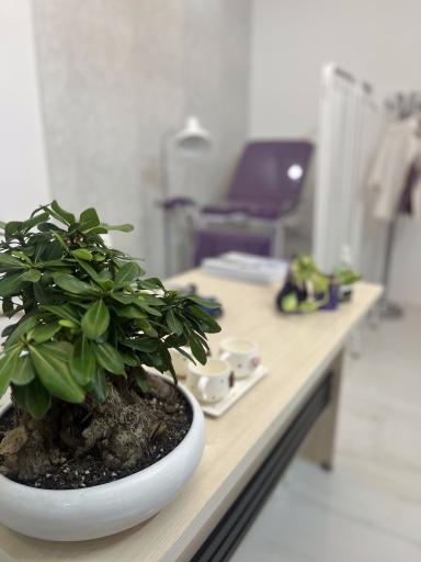 عکس مطب مامایی الهام فلکی