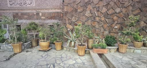 عکس ساندویچ رنگارنگ