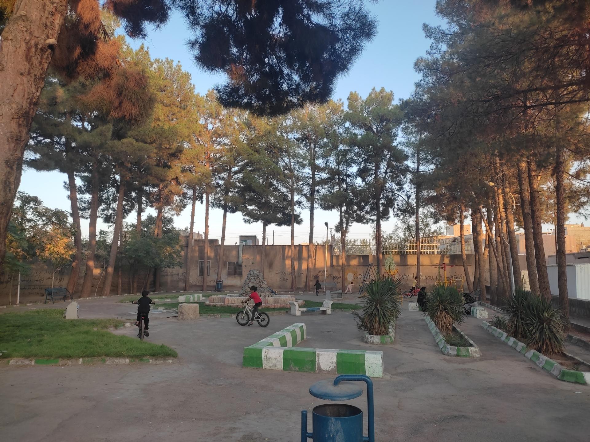 عکس بوستان کاج