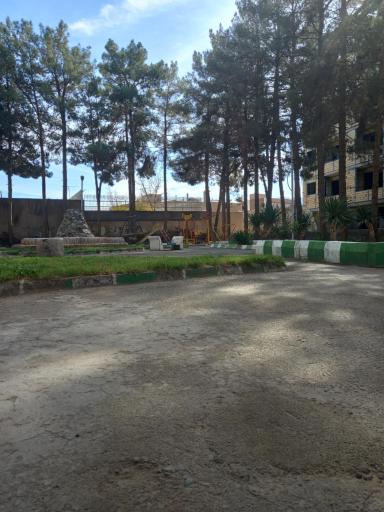 عکس بوستان کاج