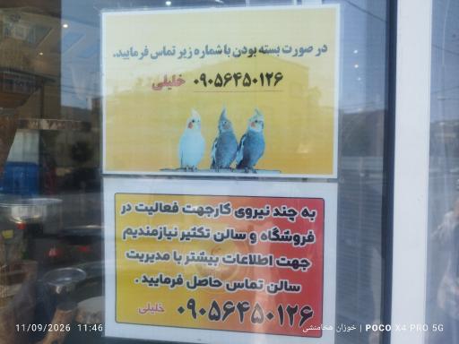 عکس سالن تکثیر طوطی سان آرام