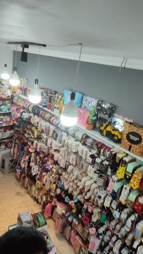 عکس گالری سنجاقک