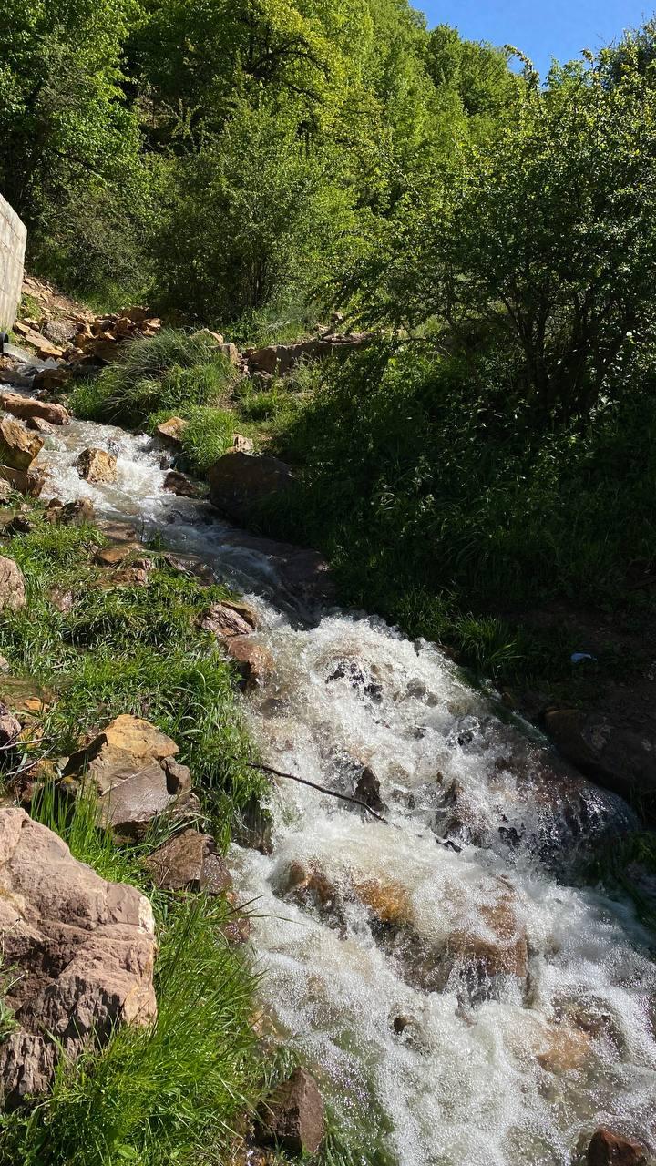 عکس چشمه فصلی نفس سلطان