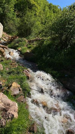 عکس چشمه فصلی نفس سلطان