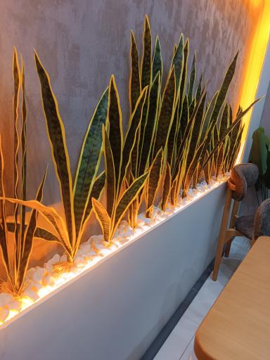 عکس کافه وصال 2