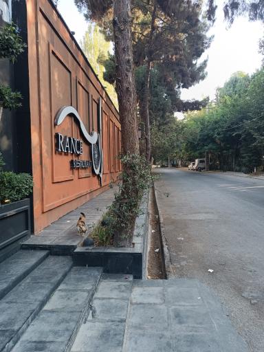 عکس کافه رستوران رنس