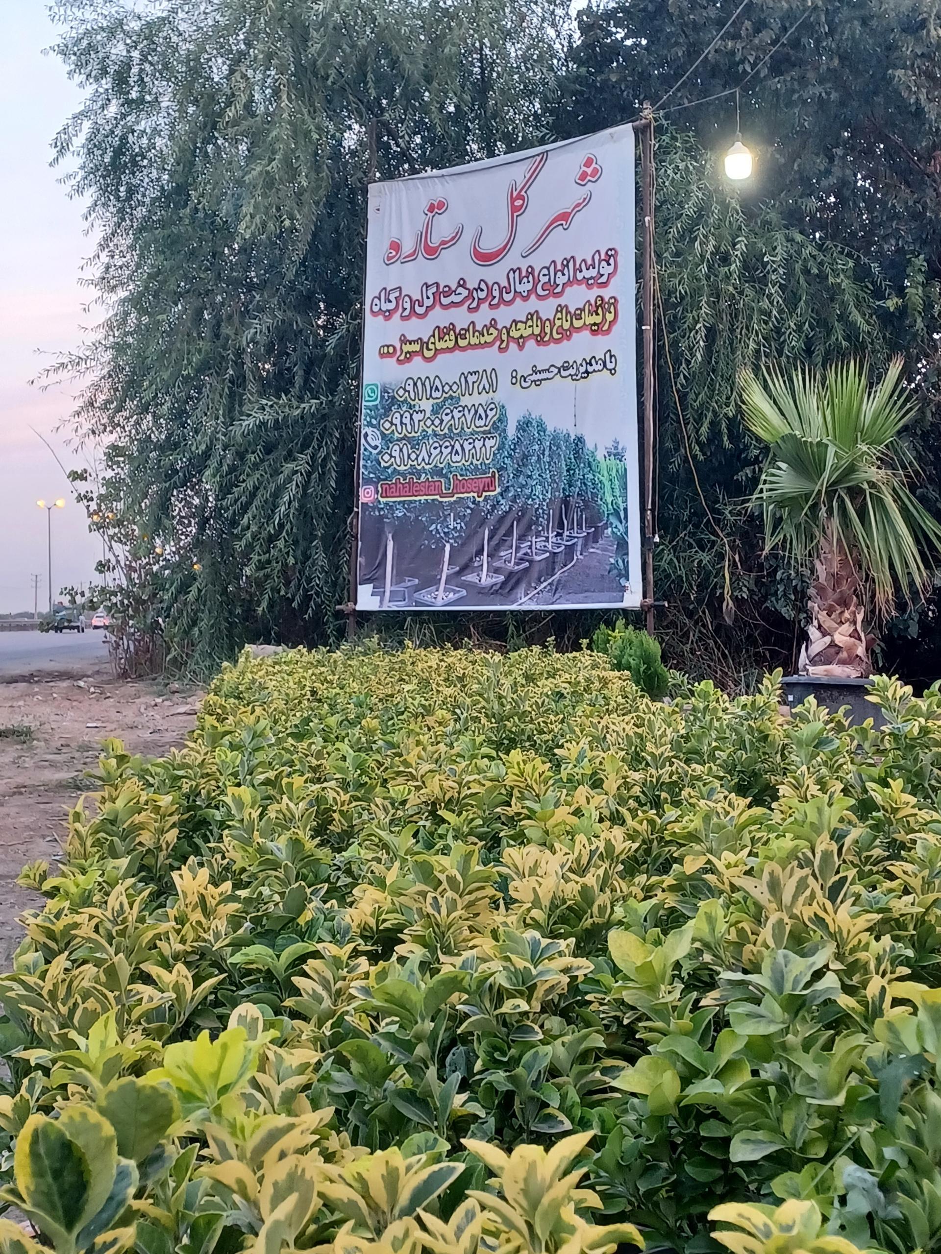 عکس نهالستان شهر گل ستاره