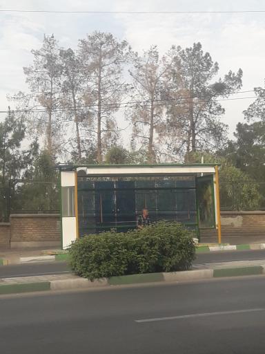 عکس دانشگاه مفید