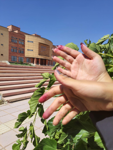 عکس دانشگاه شهرکرد