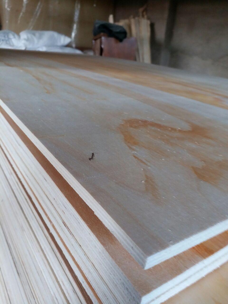 عکس صنایع چوبی چنار تولید تخته سه لای 