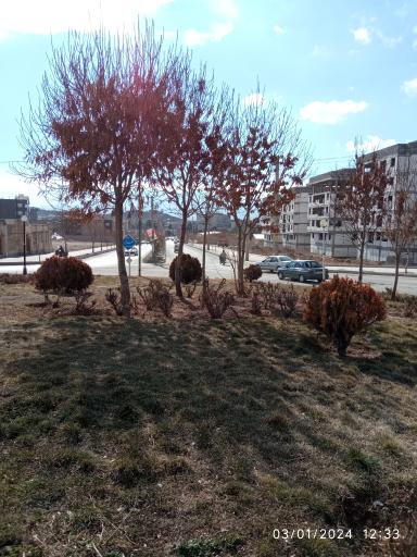 عکس میدان هفت تیر