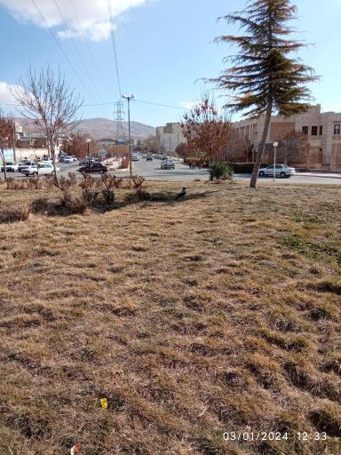 عکس میدان هفت تیر