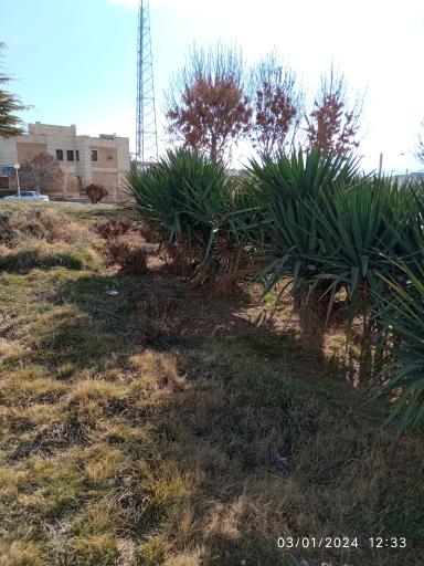 عکس میدان هفت تیر