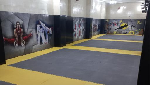 عکس باشگاه فرهنگی ورزشی ایراندخت