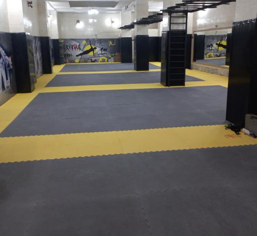 عکس باشگاه فرهنگی ورزشی ایراندخت