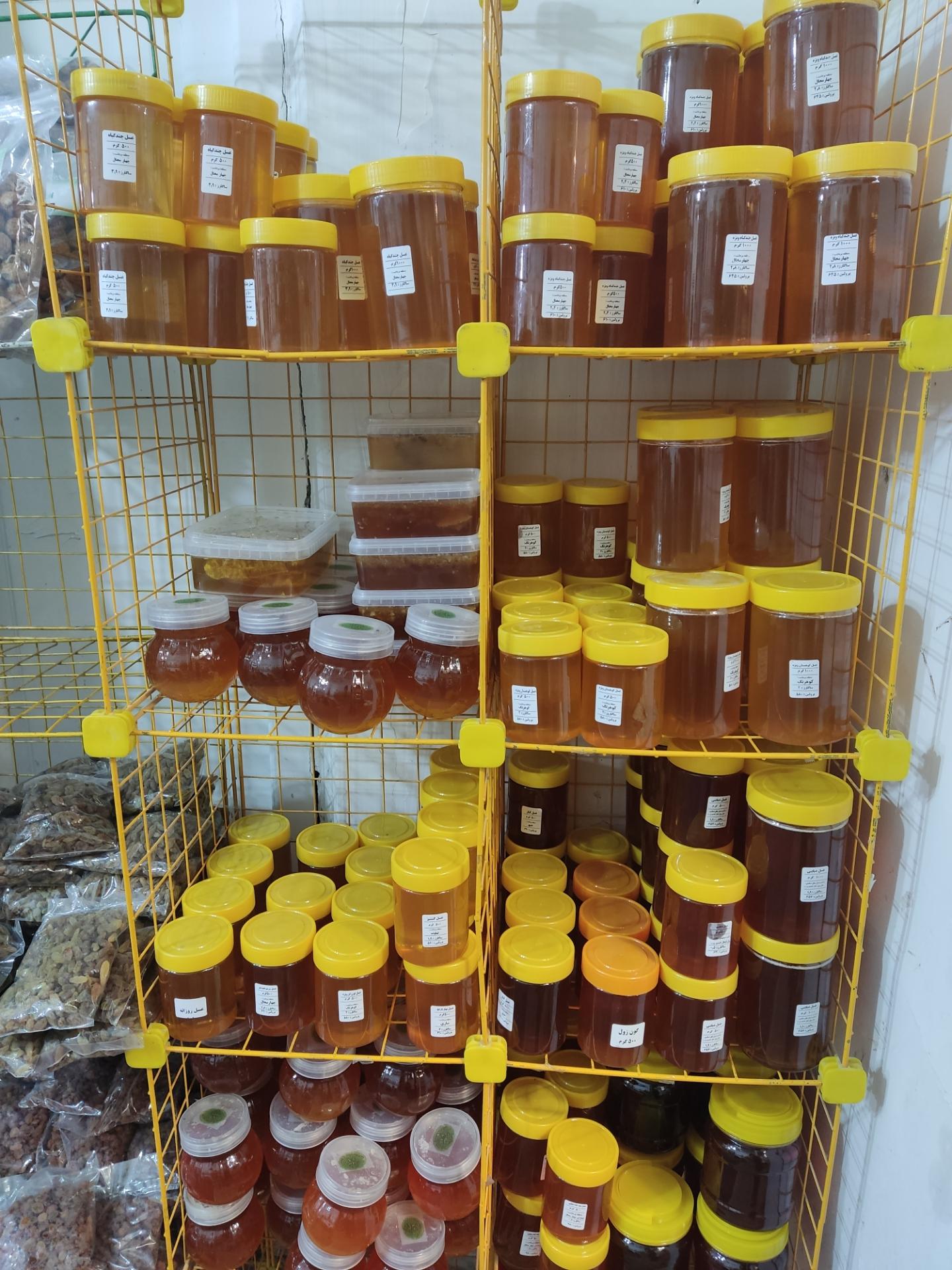 عکس دارالشفا طب الرضا