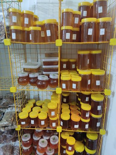 عکس دارالشفا طب الرضا