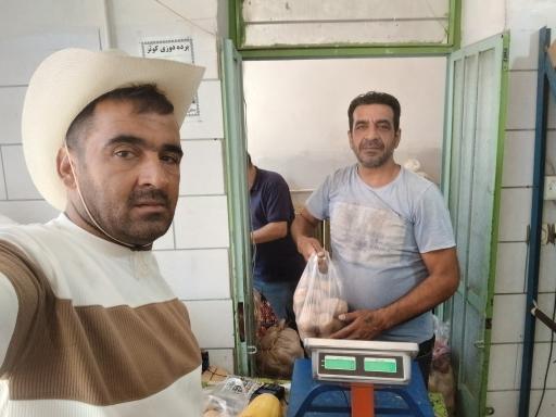 عکس میوه فروشی شقایق