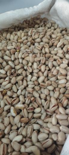 عکس پسته امجدی