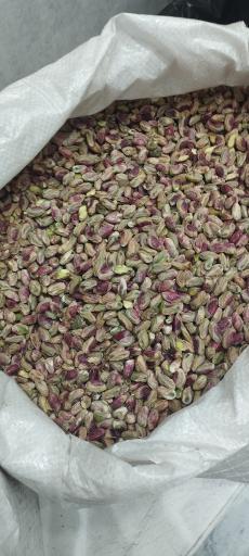 عکس پسته امجدی