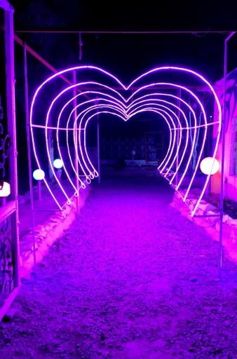 عکس باغچه رستوران جزیره 