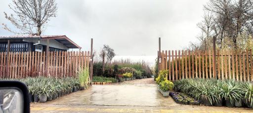 عکس تولیدی گل و گیاه نهال گستر 