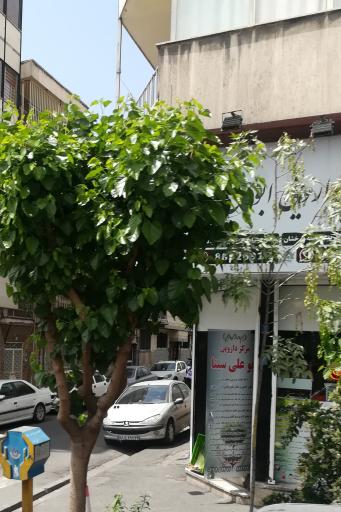 عکس مرکز دارویی ابو علی سینا