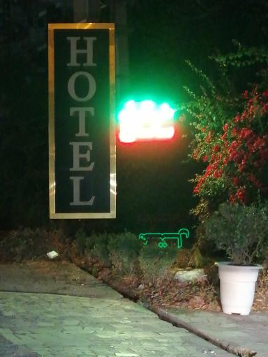 عکس هتل ساسان